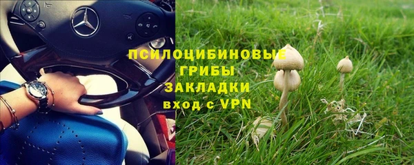 гашик Киренск