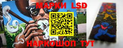 индика Ипатово
