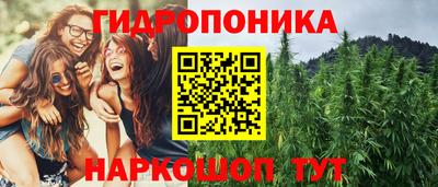 индика Ипатово