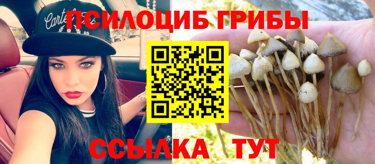 Сосновый Бор  Псилоцибиновые грибы мицелий  Галлюциногенные грибы Cubensis  Вход с VPN 