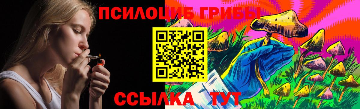 Псилоцибиновые грибы мицелий  Галлюциногенные грибы прущие грибы  Сосновый Бор 